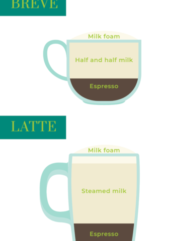 breve vs latte graphic showing different proportions of ingredients