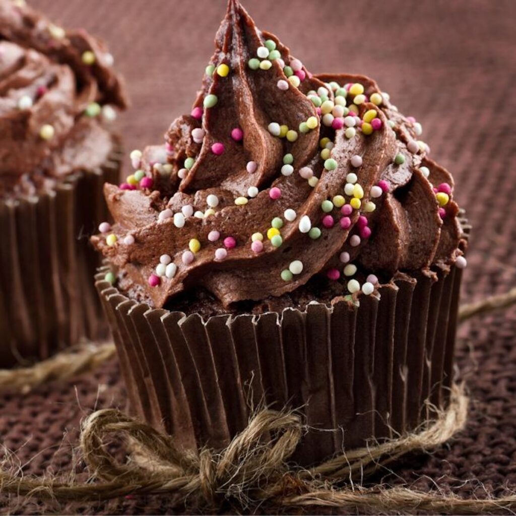 closeup of a chocolate cupcake with chocolate frosting and multicolored sprinkles