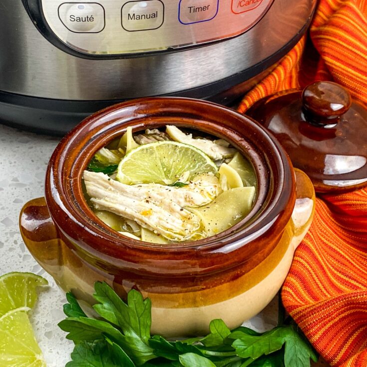 Instant Pot Chicken Noodle Soup from Flavor Portal recipe in a bowl in front of an instant pot