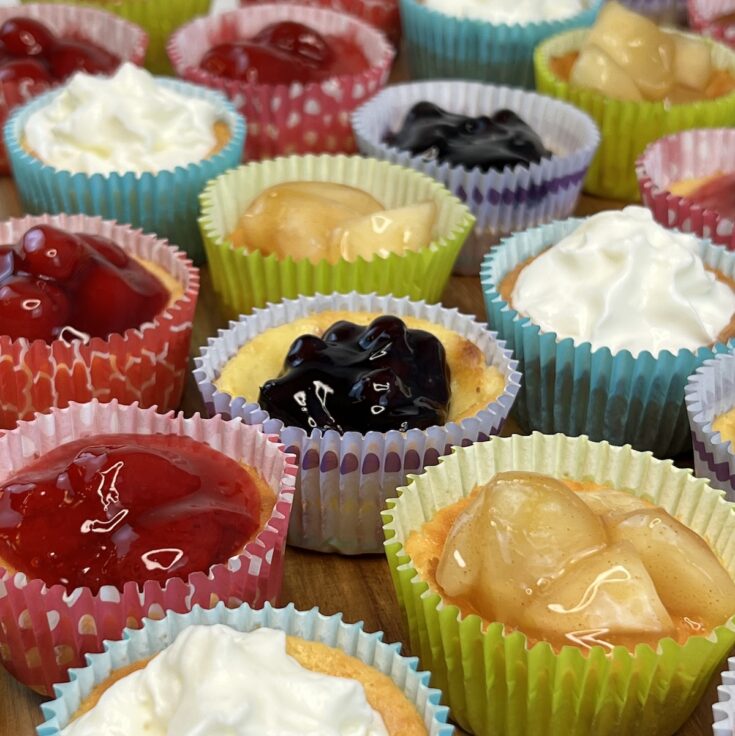 mix of cherry, strawberry, blueberry, apple and plain Nilla Wafer cheesecake tarts