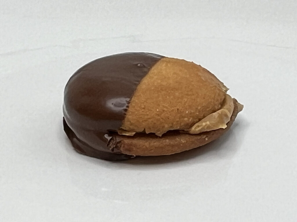 chocolate covered vanilla wafer with peanut butter