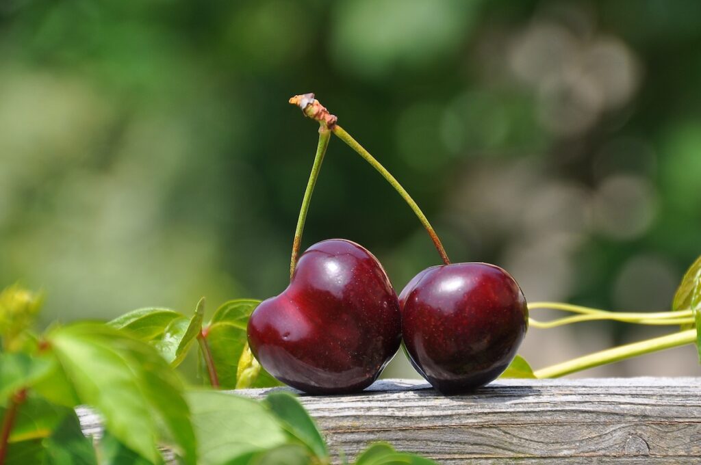 two cherries joined at the stem 
