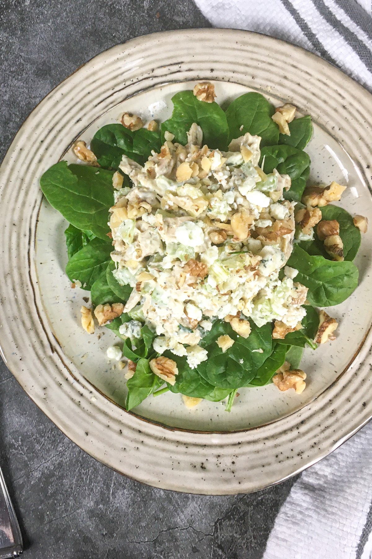 Keto Chicken Salad with Blue Cheese & Walnuts Flavor Portal