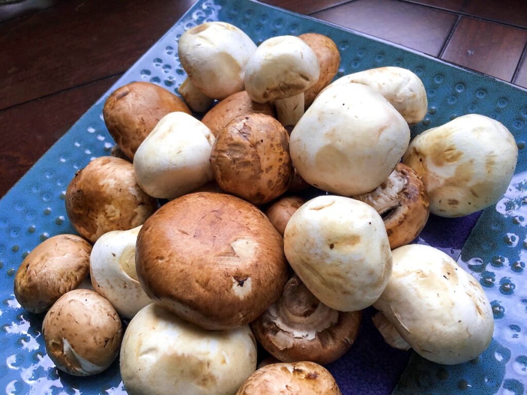 fresh white and portobella mushrooms on a blue plate